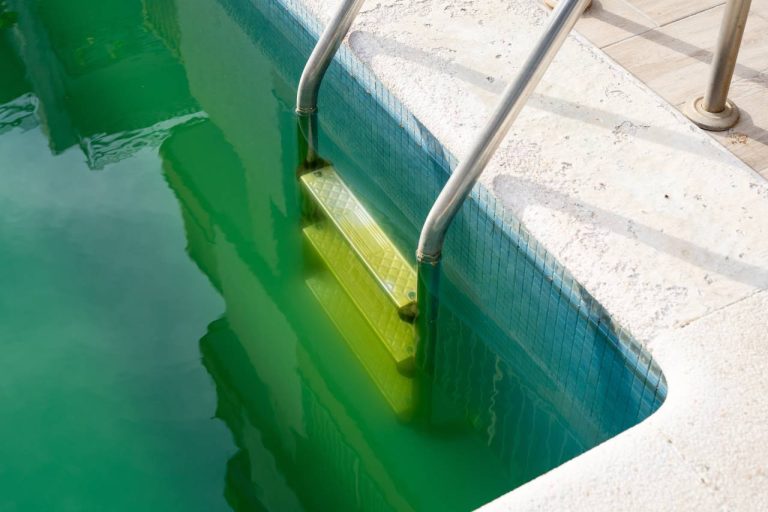 piscine eau verte