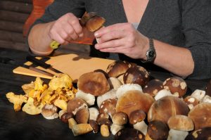 nettoyer cepes