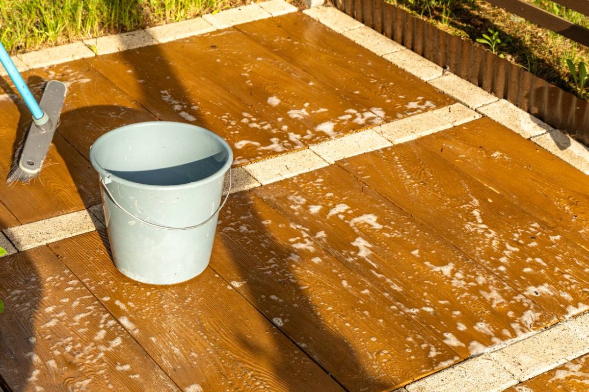 mousse terrasse