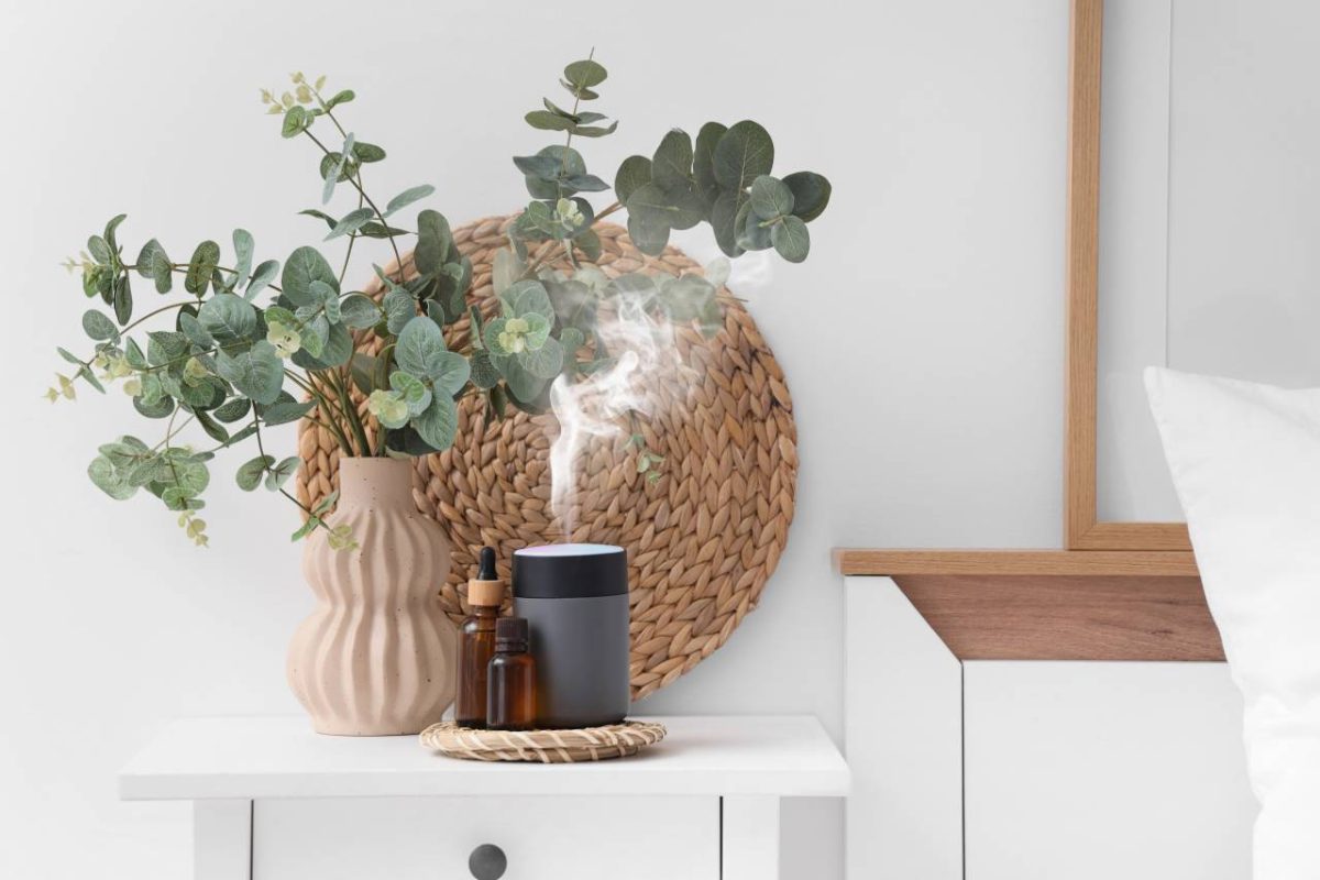 eucalyptus