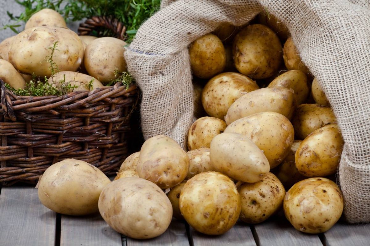 pommes de terre